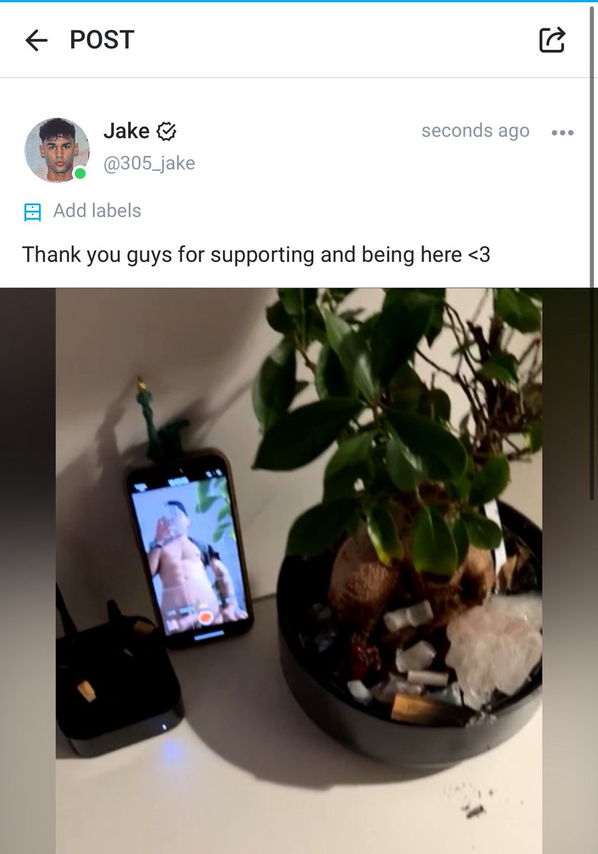 305_jakee's tweet photo. Check out the new video https://t.co/oVK11xVoWE https://t.co/qqJ7YdPw6U