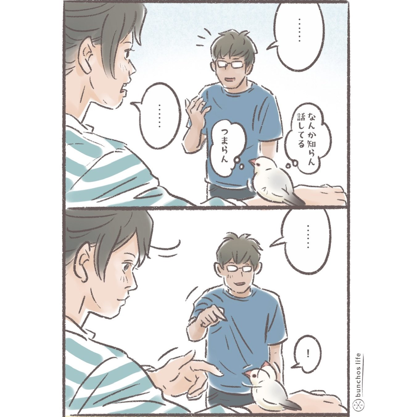 こむぎ🕊️ (@komugi_chan55) / X