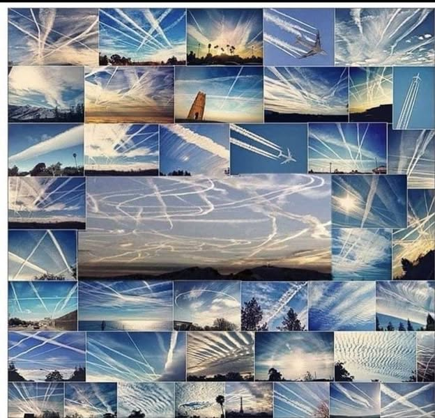 Astımınızın, cilt rahatsızlıklarınızın, egzamanızın, baş ağrılarınızın, migreninizin, sinüs enfeksiyonlarınızın, burun poliplerinizin, uyku bozukluğunuzun, zatürrenizin neden aniden her zamankinden daha kötü hale geldiğini merak ediyorsanız... şehrinizin üzerindeki gökyüzüne ne