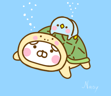 nao200's tweet photo. 🐢亀さんの日だよ🐢 https://t.co/jLyZvzfgZO
