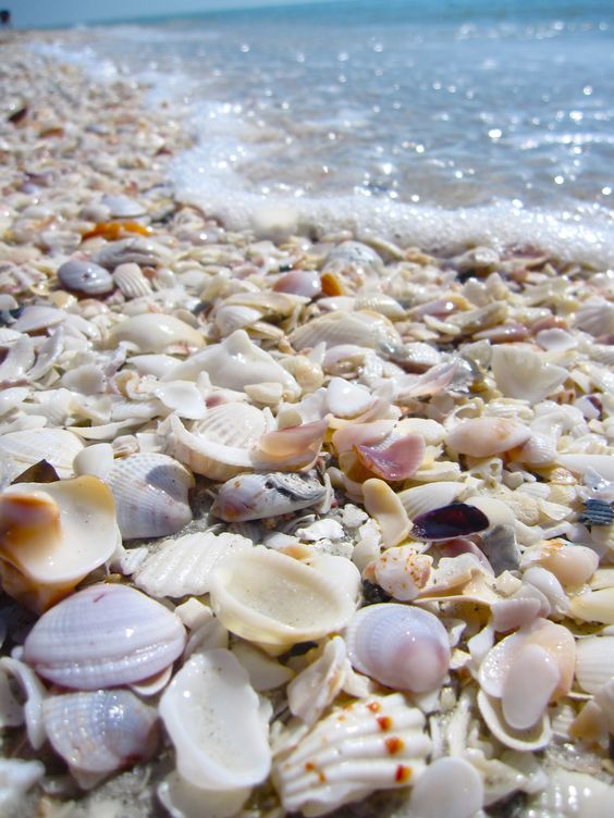 고민수 (@golkominsoo) on Twitter photo 