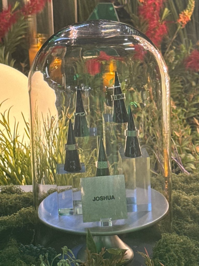 joshua’s seventeen rings displayed 🤍💍