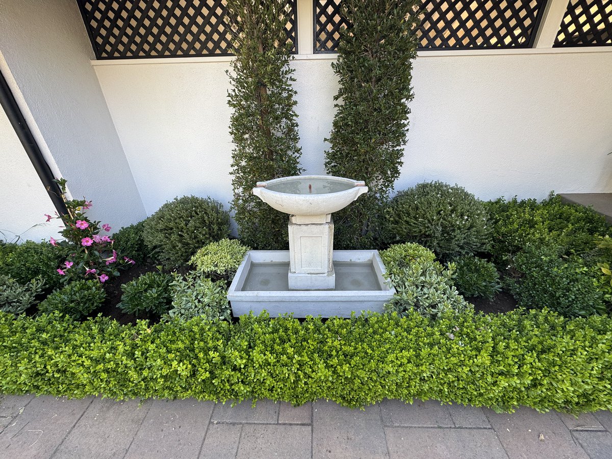 histofarch's tweet photo. During - and AFTER - another #LivingProcessLLC Landscape design installation here with Fred Lucas. https://t.co/wMRtwNhmhP