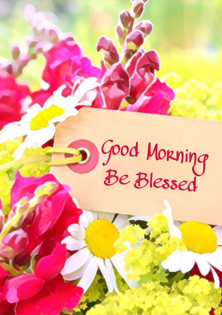 Good Morning X Creators ❤️🧡💛