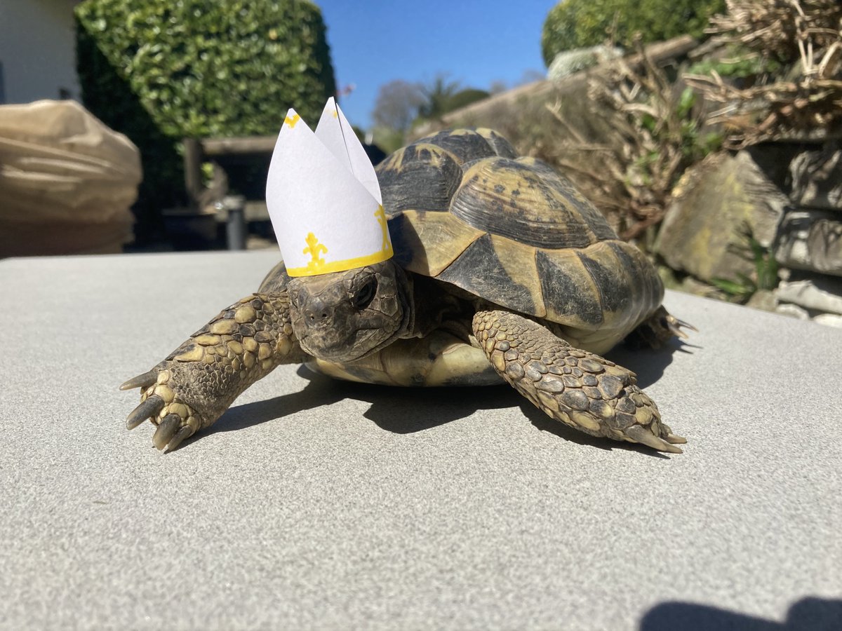 엘든링 영화 캐스팅 예상도