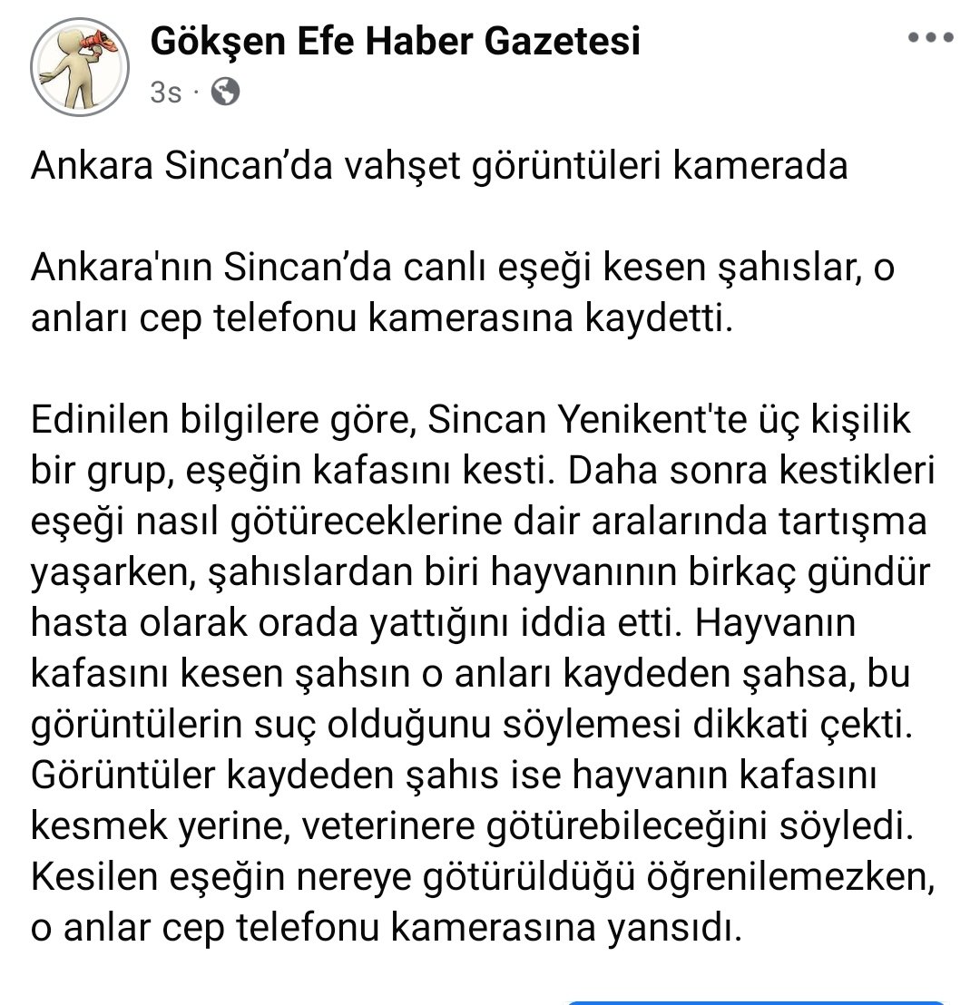goksen06efe's tweet photo. ANKARA SİNCAN YENİKENT'TE EŞEK VAHŞETİ https://t.co/w5iGdG0zXR