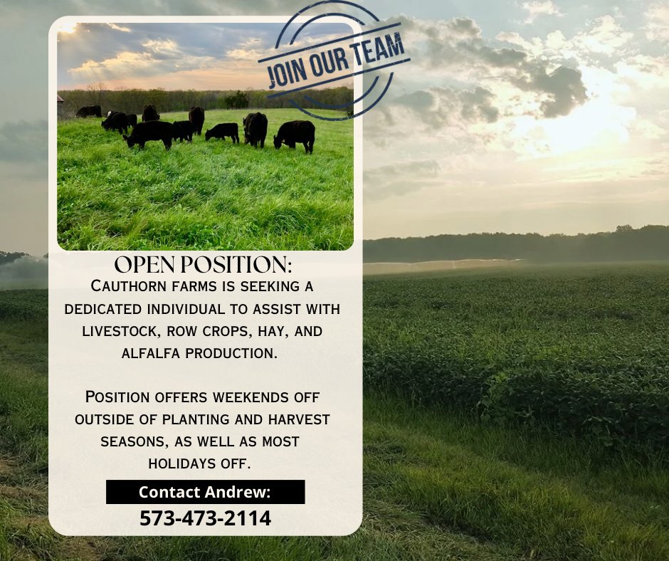 Andrew Cauthorn tweet media