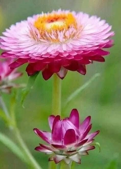 Silvia (@silnreginaa) on Twitter photo <a href="/teamdinamicas/">Cami</a> <a href="/luizcosta76/">LUIZ COSTA 😷🏠🙏🏾🥼💊💉🏨</a> <a href="/anaberssani1/">Anna 🌻❤️🔥🥊</a> <a href="/Da__Eliz/">Eli👸</a> <a href="/B_Brusau/">⚜ Bárbara ⚜</a> <a href="/JulianaBaSub/">Juliana</a> <a href="/tito_12m/">Alexandre</a> <a href="/Zeno_Mello/">🇧🇷Zeno_Mello🇧🇷</a> <a href="/biapeacelove1/">Bia</a> <a href="/elionieves/">Elio Nieves 🇨🇺🙏🇺🇸</a> <a href="/DaredevilCarlos/">Carlos Daredevil</a> <a href="/MolekoGil/">Renegado 01</a> <a href="/fer79crf/">Fer79crf</a> <a href="/OmarOmafranco/">Omar Franco</a> <a href="/RaulWever/">Raul Wever 🇾🇪🇺🇲🇪🇸🇨🇵🇩🇴</a> <a href="/rogeliomtz75/">rogelio martinez 85K</a> <a href="/Edy75745008/">Edy🌷</a> <a href="/Matheus75636678/">Matheuzinho🌪️zinho</a> <a href="/lynna_nich/">LynnaRTGAINS 💞 100K #ActiveGains #MGWV</a> <a href="/Lilli_fb/">Lilli for 👉💯 FB</a> <a href="/Reciclatecno/">♻️#Re¢ı¢łαTe¢иø🦎💻📱🖥️ YouTube°</a> <a href="/Jemaco40/">@Jemaco40</a> <a href="/Ruth_111_/">͓🍎</a> <a href="/Galope2021/">Il conto (Alessandra)Si me sgues te sigo</a> <a href="/River14Campeon/">SebaCarp14</a> <a href="/osyastar777/">🍾🥂🧁🥐🍫Ⓞⓢⓨⓐⓢⓣⓐⓡ🌏🕊️🤝🕊️🌏</a> <a href="/osarenatrainee/">🪡🄾🅂🅈🄰🄽おしゃん📝𝙤𝙨𝙖𝙧𝙚𝙣𝙖𝙩𝙧𝙖𝙞𝙣𝙚𝙚🧶</a> <a href="/osyarenistylish/">💃𝕠𝕤𝕪𝕒𝕣𝕖𝕟𝕚𝕤𝕥𝕪𝕝𝕚𝕤𝕙🏋️お洒落にスタイリッシュ🕺</a> <a href="/osyarenimuscle/">🏋️おしゃマス💪o♥s♥y♥a♥r♥e♥n♥i♥m♥u♥s♥c♥l♥e 🏋️</a> <a href="/tatysolcito/">💖 Tati Solcito 💖⭐⭐⭐</a> <a href="/CarlosOchoa_G/">CARLOS</a> Boa noite Camila, bom descanso querida!🙏🥰😴🌺 <a href="/teamdinamicas/">Cami</a> <a href="/luizcosta76/">LUIZ COSTA 😷🏠🙏🏾🥼💊💉🏨</a> <a href="/anaberssani1/">Anna 🌻❤️🔥🥊</a> <a href="/Da__Eliz/">Eli👸</a> <a href="/B_Brusau/">⚜ Bárbara ⚜</a> <a href="/JulianaBaSub/">Juliana</a> <a href="/tito_12m/">Alexandre</a> <a href="/Zeno_Mello/">🇧🇷Zeno_Mello🇧🇷</a> <a href="/biapeacelove1/">Bia</a> <a href="/elionieves/">Elio Nieves 🇨🇺🙏🇺🇸</a> <a href="/DaredevilCarlos/">Carlos Daredevil</a> <a href="/MolekoGil/">Renegado 01</a> <a href="/fer79crf/">Fer79crf</a> <a href="/OmarOmafranco/">Omar Franco</a> <a href="/RaulWever/">Raul Wever 🇾🇪🇺🇲🇪🇸🇨🇵🇩🇴</a> <a href="/rogeliomtz75/">rogelio martinez 85K</a> <a href="/Edy75745008/">Edy🌷</a> <a href="/Matheus75636678/">Matheuzinho🌪️zinho</a> <a href="/lynna_nich/">LynnaRTGAINS 💞 100K #ActiveGains #MGWV</a> <a href="/Lilli_fb/">Lilli for 👉💯 FB</a> <a href="/Reciclatecno/">♻️#Re¢ı¢łαTe¢иø🦎💻📱🖥️ YouTube°</a> <a href="/Jemaco40/">@Jemaco40</a> <a href="/Ruth_111_/">͓🍎</a> <a href="/Galope2021/">Il conto (Alessandra)Si me sgues te sigo</a> <a href="/River14Campeon/">SebaCarp14</a> <a href="/osyastar777/">🍾🥂🧁🥐🍫Ⓞⓢⓨⓐⓢⓣⓐⓡ🌏🕊️🤝🕊️🌏</a> <a href="/osarenatrainee/">🪡🄾🅂🅈🄰🄽おしゃん📝𝙤𝙨𝙖𝙧𝙚𝙣𝙖𝙩𝙧𝙖𝙞𝙣𝙚𝙚🧶</a> <a href="/osyarenistylish/">💃𝕠𝕤𝕪𝕒𝕣𝕖𝕟𝕚𝕤𝕥𝕪𝕝𝕚𝕤𝕙🏋️お洒落にスタイリッシュ🕺</a> <a href="/osyarenimuscle/">🏋️おしゃマス💪o♥s♥y♥a♥r♥e♥n♥i♥m♥u♥s♥c♥l♥e 🏋️</a> <a href="/tatysolcito/">💖 Tati Solcito 💖⭐⭐⭐</a> <a href="/CarlosOchoa_G/">CARLOS</a> Boa noite Camila, bom descanso querida!🙏🥰😴🌺
