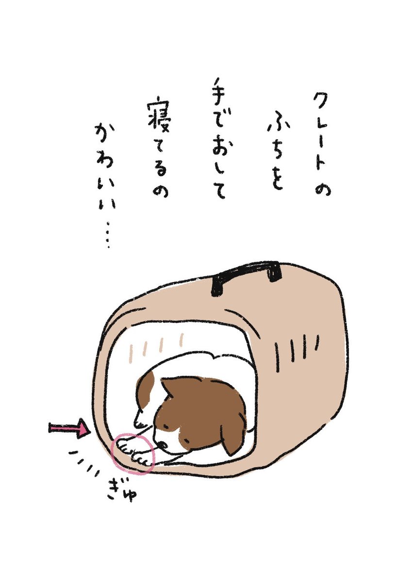 きゅーん♡ 