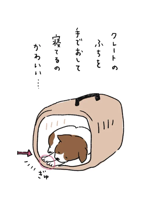 きゅーん♡ 