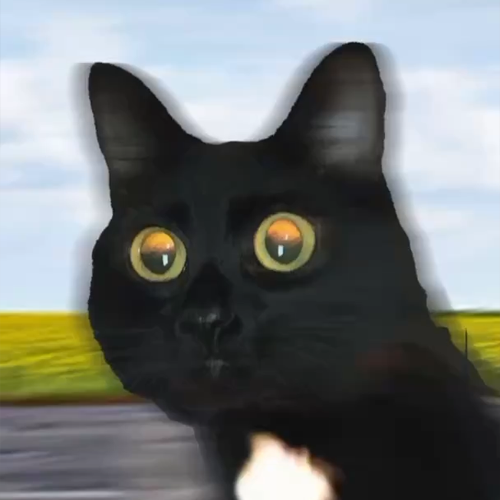 Andrea Von Speed 🐈‍⬛💨

Viral TikTok cat with 166M views in 2 days
tiktok.com/@thekittyandre…

We’ll be reaching out to the cat’s owner to provide supply and build a vibrant community full of memes and fun.

You are EARLY — lock in.
tiktok.com/@thekittyandrea

Community: