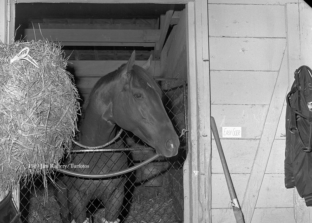EASY GOER, Gulfstream Park, 1989

Jim #RafteryTurfotos

I couldn't bear to crop out the jacket at far right...pretty sure it's one of those cool PHIPPS STABLE jackets.