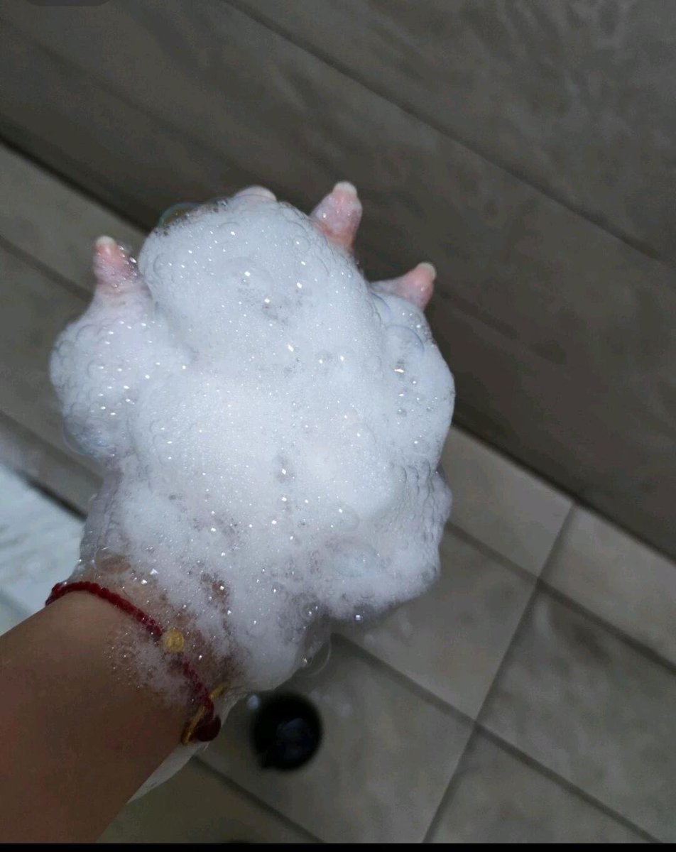 Emilia✨ tweet media