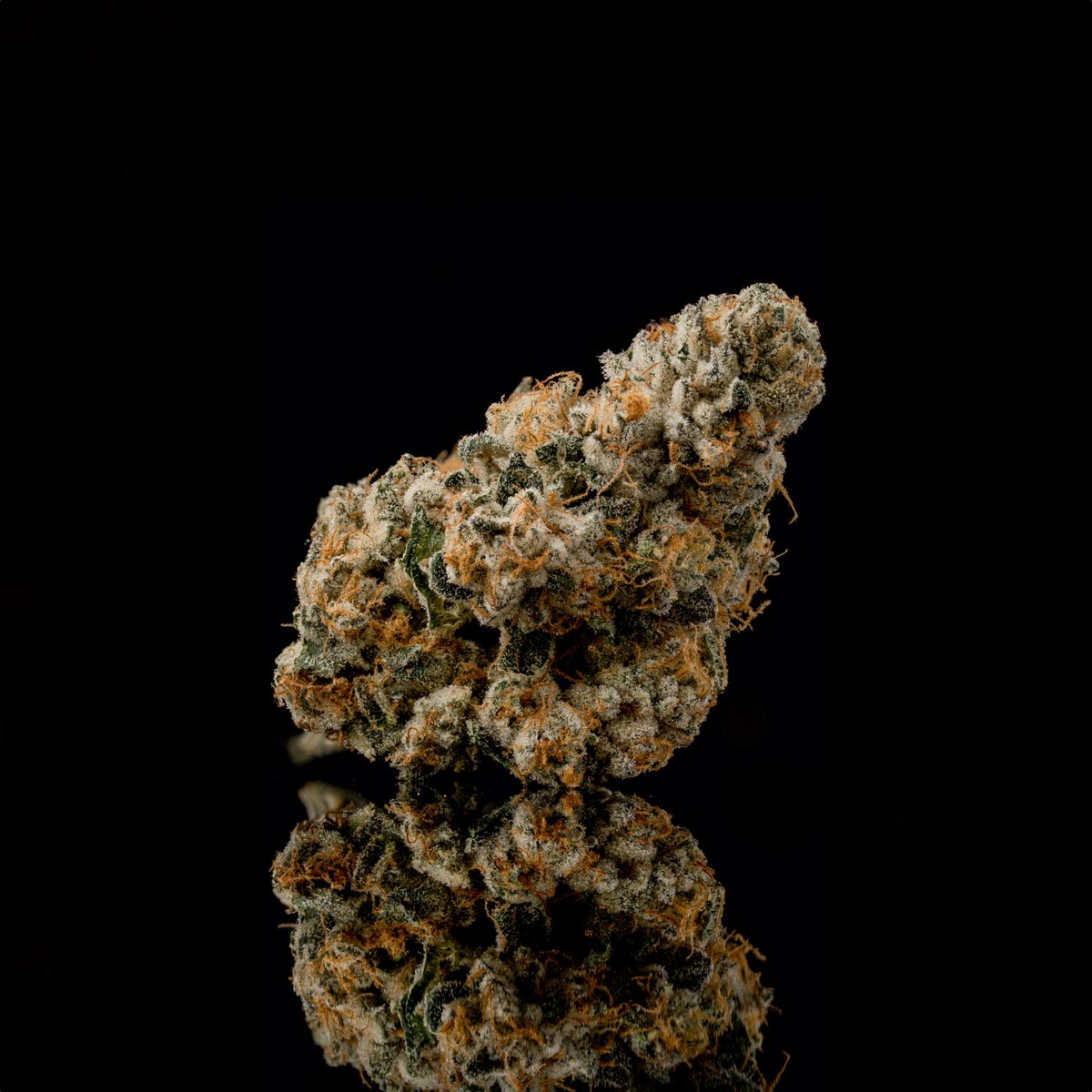 The Grower Circle tweet media