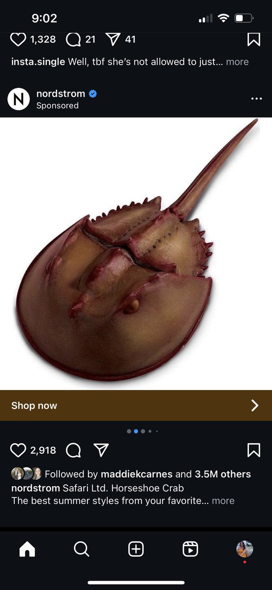 Laur_Huss's tweet photo. More importantly, why did I click on this https://t.co/LKZJM1Vrtr