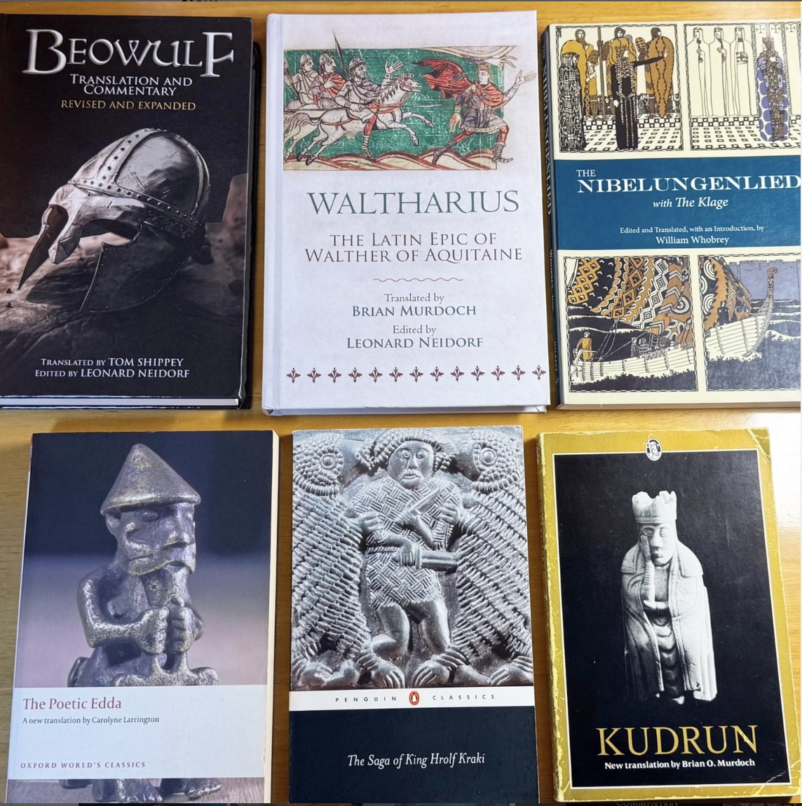 If you enjoy medieval Germanic literature, you'll love WALTHARIUS (ed. Neidorf, trans. Murdoch). Though written in Latin, it has clear connections with Beowulf, the Nibelungenlied, and other works. 

For more information on WALTHARIUS, visit: uppsalabooks.com/waltharius