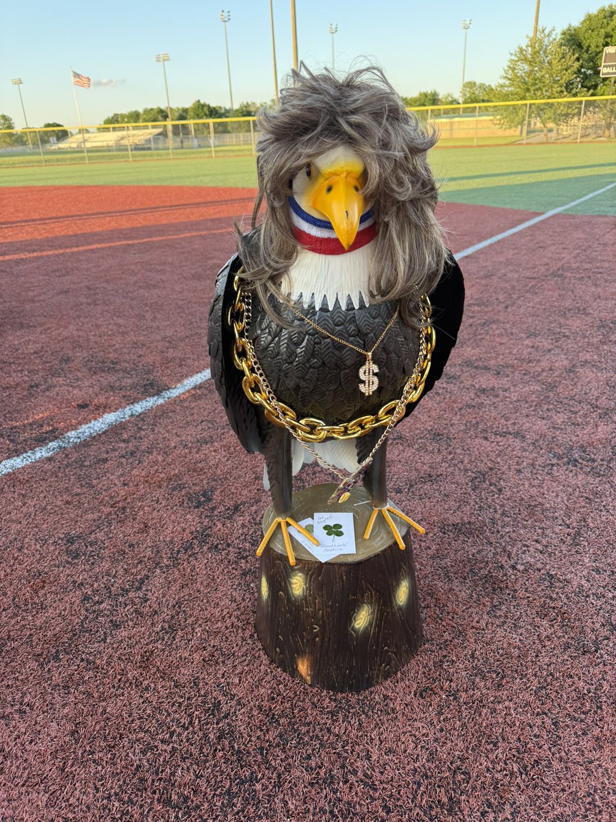 REGIONAL CHAMPS 🥎🦅