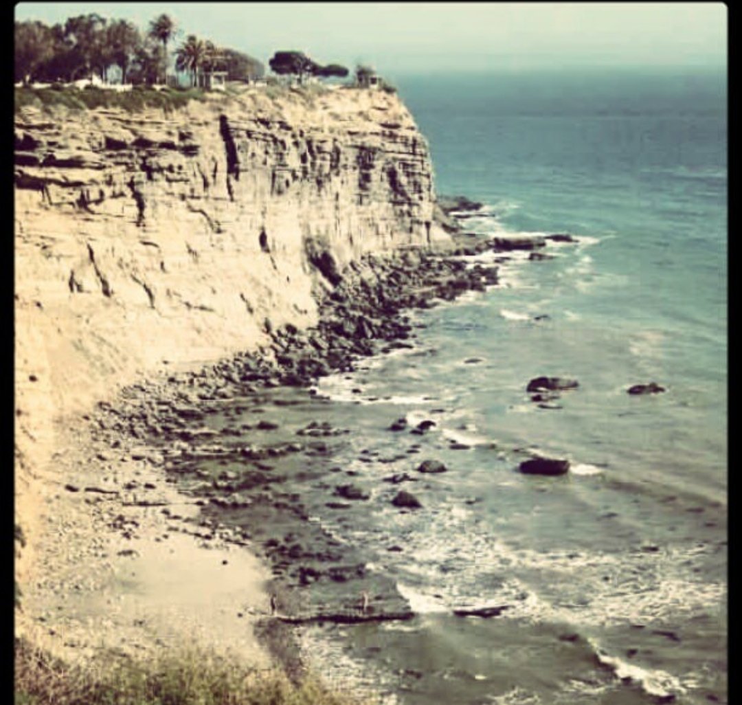 1NATIONGG's tweet image. You ALREADY KNOW PATNA
#DroCity
#HarborArea
#WestCoastSide