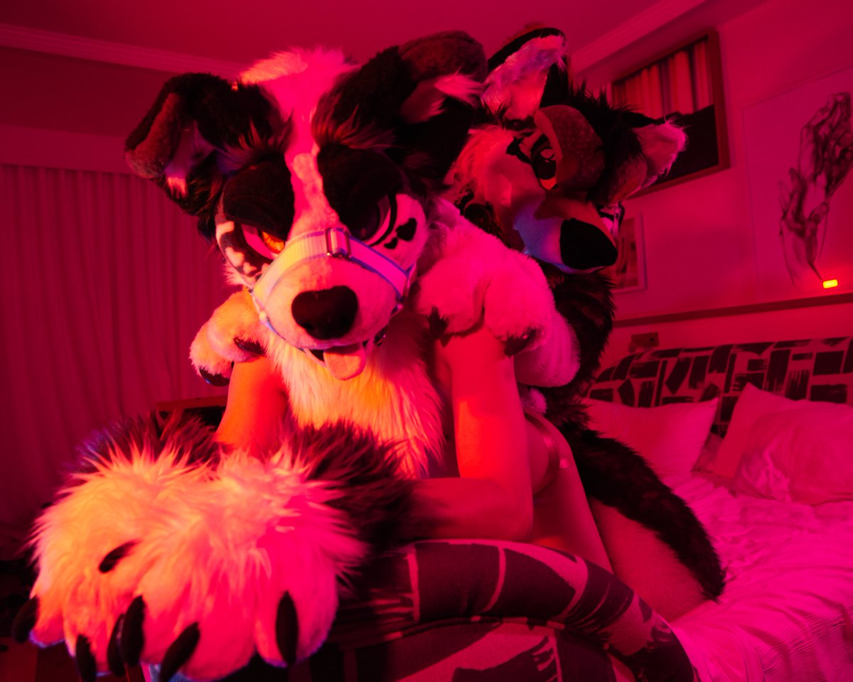Having fun with <a href="/diorafterbark/">DIOR AFTERBARK 🐶🐾 PAW GAZER PUPPY</a> Who's next?  #Murrsuit
📸 <a href="/Murrlotphoto/">Murrlot</a>