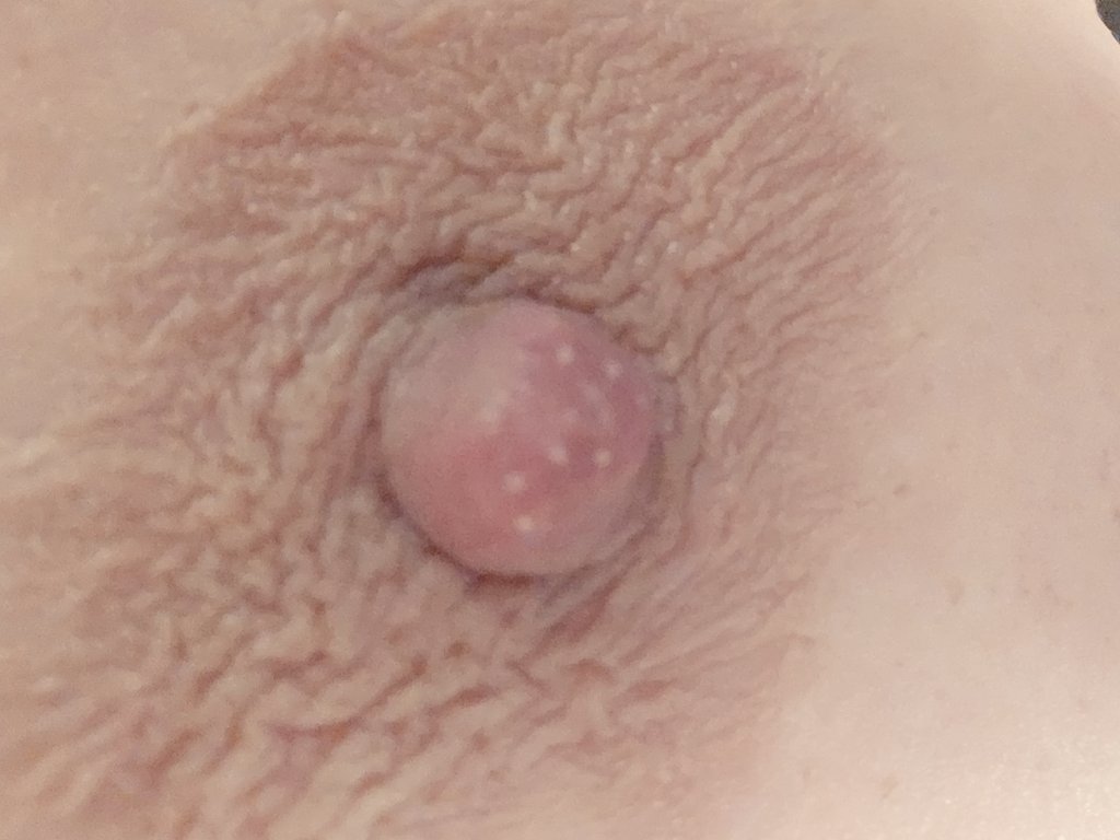 sexysweet2pt0's tweet photo. Someone told me to get more Fans on my Only Fans that I shouldn't post my tits and ass on here. Not only did I not get more Fans but i lost the enthusiasm to post. I'm not going to censor myself on here or anywhere else. I have to be my Sexy self and I have to follow my heart. I will retire in a few years someone exotic and posting what I want will leads me to my more and more amazing life. I know one of my followers one day will lead me me is will and then I will be really set! The money will go for me to live comfortably but not eccentric, the rest will go to doing really good things for others in this world. I talk to broke, sick people all day long. I would love to be wealthy and help people. But for now I grind. Having my best sales week ever!!! Bring on the tits!😇🤑