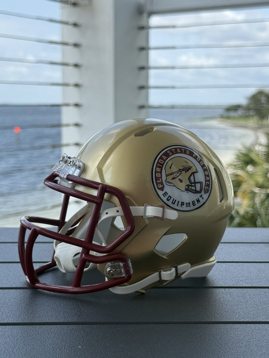 97 Sports- Helmets/Decals 🏈 tweet media