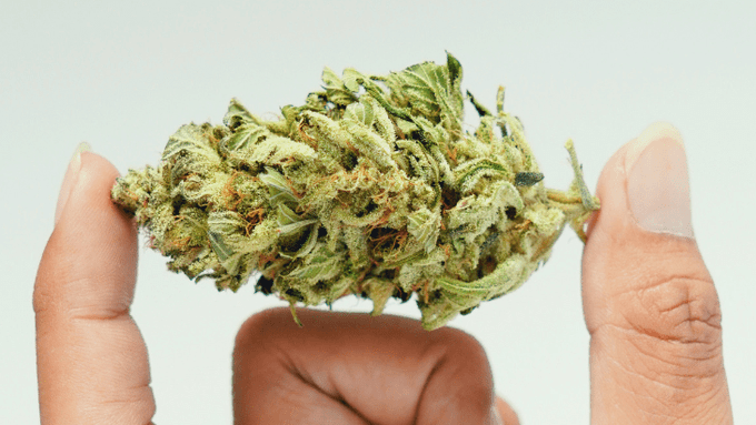 Clinical Trials Show Cannabis Improves Symptoms in Fibromyalgia Patients

The use of cannabis-based preparations, including flower, is associated with symptomatic improvements in patients with fibromyalgia syndrome (FMS), according to...

norml.org/news/2024/11/0…