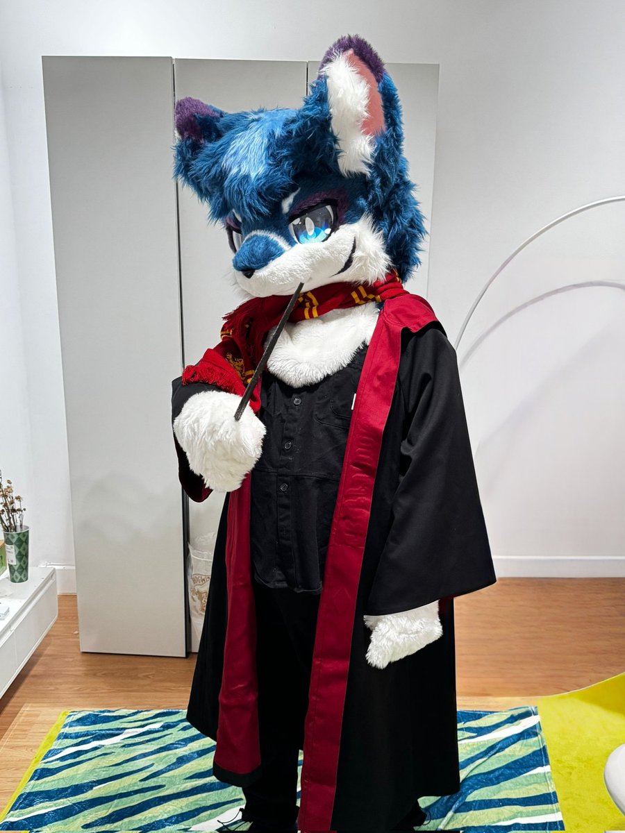 #FursuitFriday   /// 紫 蛍 ///
———————————— 🐺
 诶嘿，试穿下哥哥的衣服～
丨
📸：Kumi ( ?