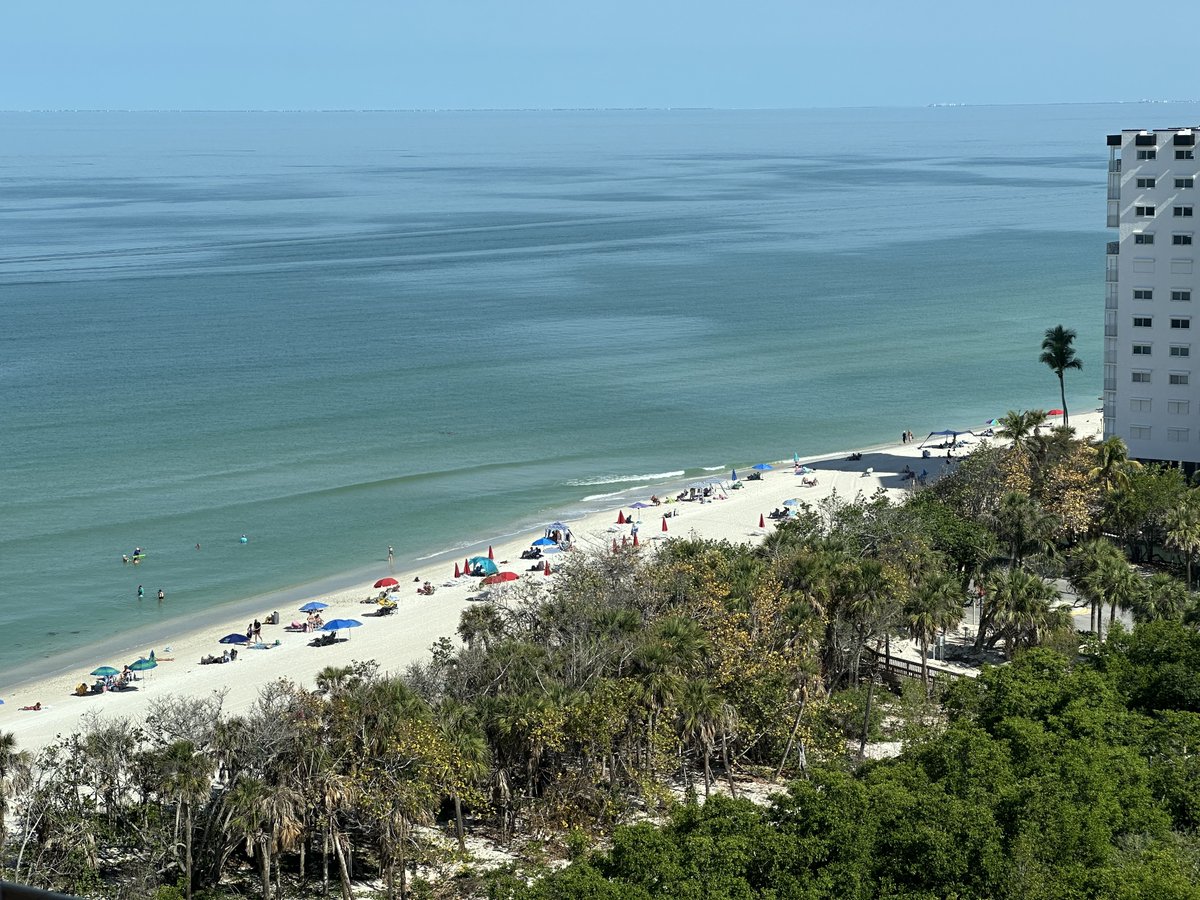 Jad F. Assaf tweet media