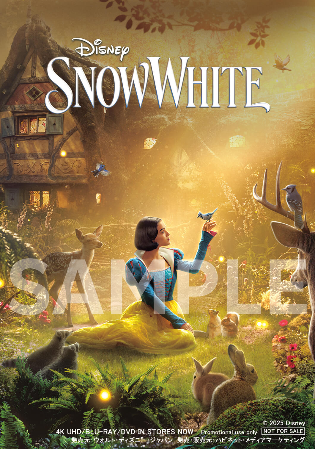 スノーホワイト スチールブック　ブルーレイ　DVD 数量限定ボックス　白雪姫 スノーホワイト スチールブック ブルーレイ DVD 数量限定