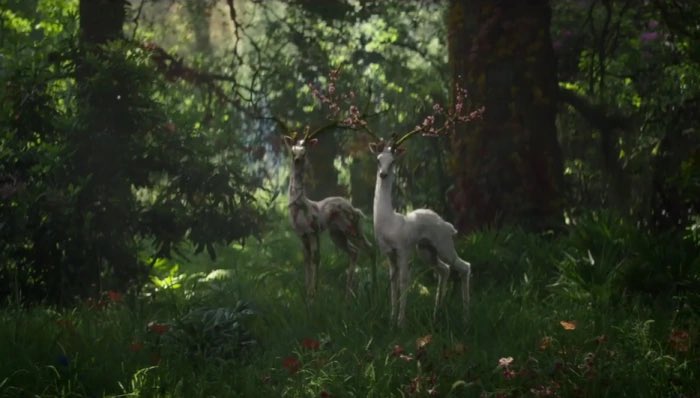 scadutree's tweet image. alex garland did annihilation which i THINK i remember enjoying (i will have to rewatch it) so i will hope for the best for the elden ring movie..... i KNOW that the scarlet rot is gonna go hard