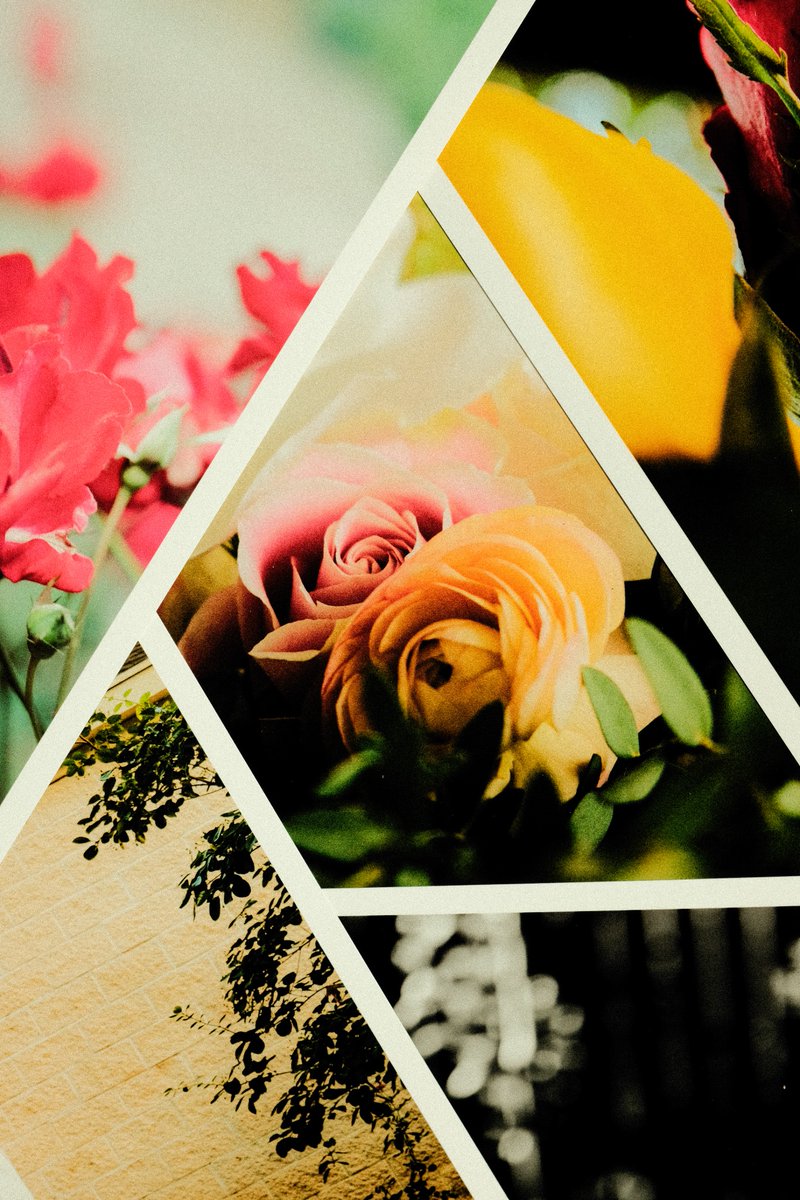 gflo_tx's tweet image. Floral prints available 🌹

Replicahtx.bigcartel.com