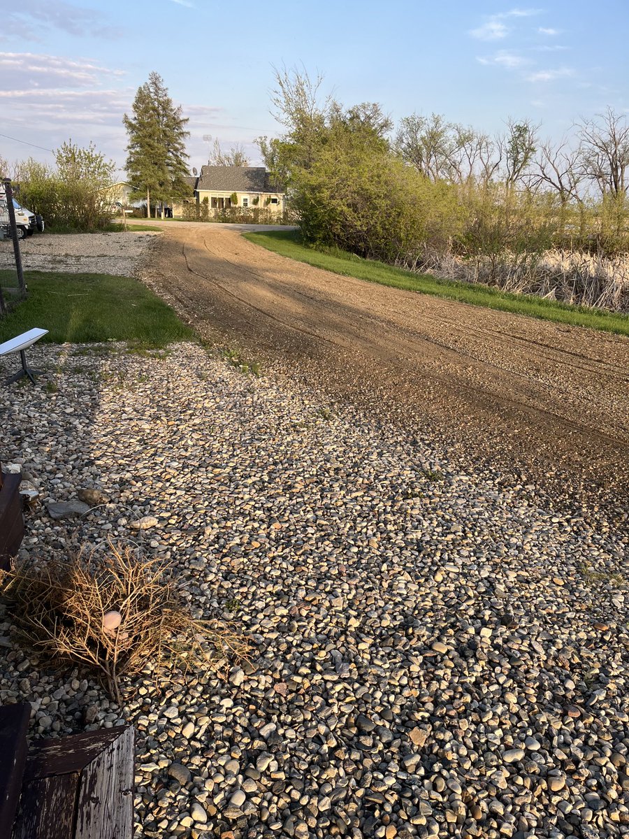 Judy Pedersen tweet media