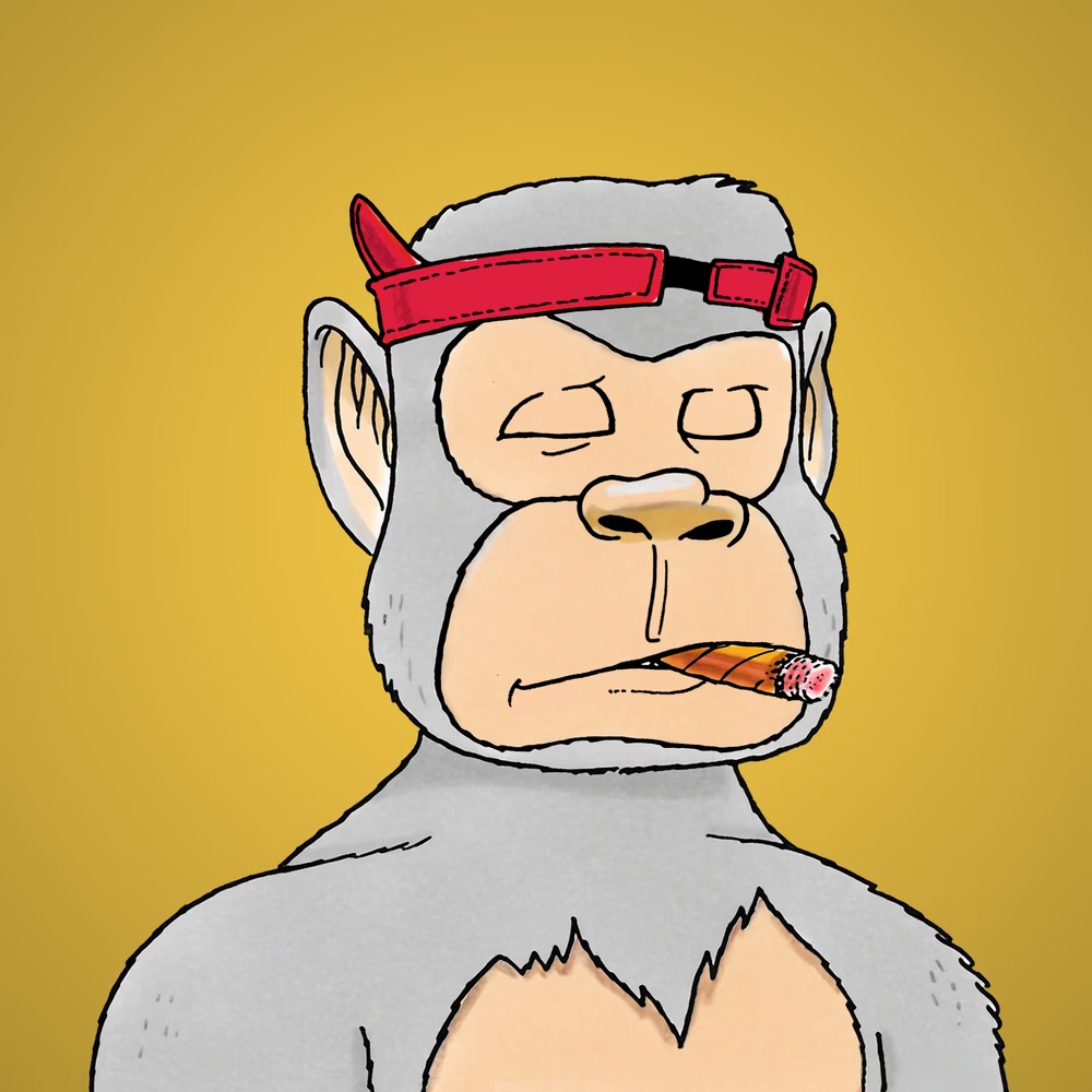 JUNGLE FREAKS tweet media