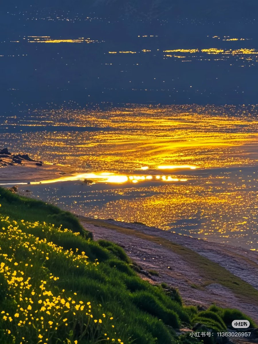 在赛里木湖📍邂逅真正的浮光跃金🌅
如果说人间真有仙境，那赛里木湖的落日余晖定是神明打翻的调色盘。夕阳西沉，云霞漫天，湖面温柔拥抱着雪山倒影，忽而微风拂过，粼粼波光中跃起万千金箔，犹如将暮色熔成液态的碎金在流淌，既似仙女遗落的金缕衣随风铺展，又若天地共饮的鎏金琼浆漫过人间。