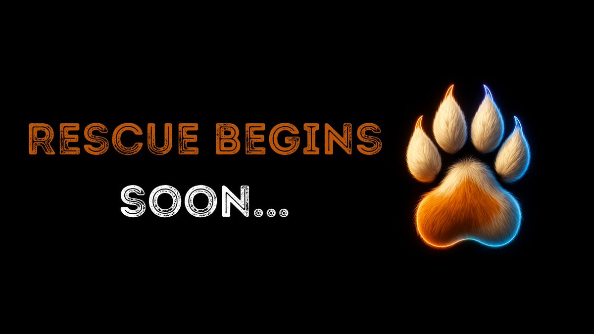 Transparency isn't a feature - it's our foundation. 🧡💙

We've already created the main wallets:
🐾 Animal Aid
🧰 Development
☕ Team Survival

Next stop: deploying the token smartly...
The rescue mission is just beginning...

#FurFundMission #Solana #SaveThePaws #NoMoreStrays