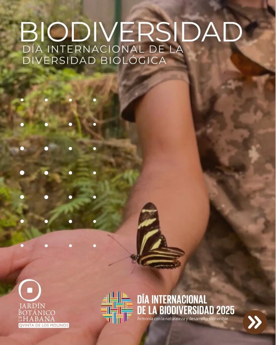 Día Internacional de la Biodiversidad .