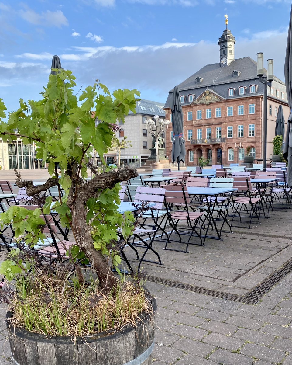 SatoruOHATA's tweet image. ドイツはシュパーゲル(白アスパラ)が美味しい季節。
ランチもディナーもハーナウ市庁舎前でグリム像を見ながら旬のシュパーゲルをいただきました。
グリム兄弟の生家がある町ハーナウはフランクフルト中央駅から電車で40分なので、日帰り旅行にもちょうどいいですよ。