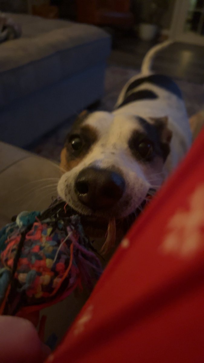 chevy would like to say hello