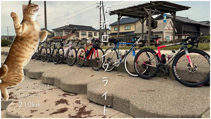 佐渡ロングライドロスが激しかったので動画作りました。作業のお供にどうぞ。 