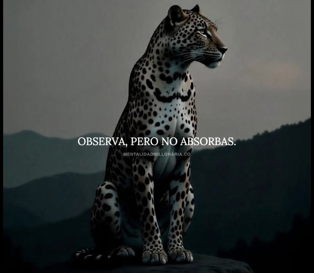 AgustínVidal23 (@_agusttinviddal) on Twitter photo 