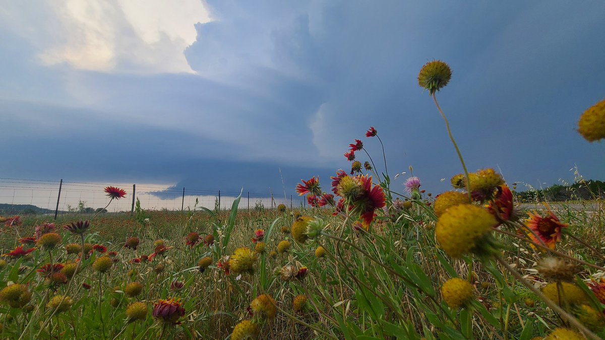 Scott McPartland (@scottmcpartland) on Twitter photo Got on a really amazing isolated Supercell Near Palo Pinto, TX. It was also great to run into <a href="/SimonStormRider/">Simon Brewer</a> heading north to reposition for tomorrow. Got on a really amazing isolated Supercell Near Palo Pinto, TX. It was also great to run into <a href="/SimonStormRider/">Simon Brewer</a> heading north to reposition for tomorrow.
