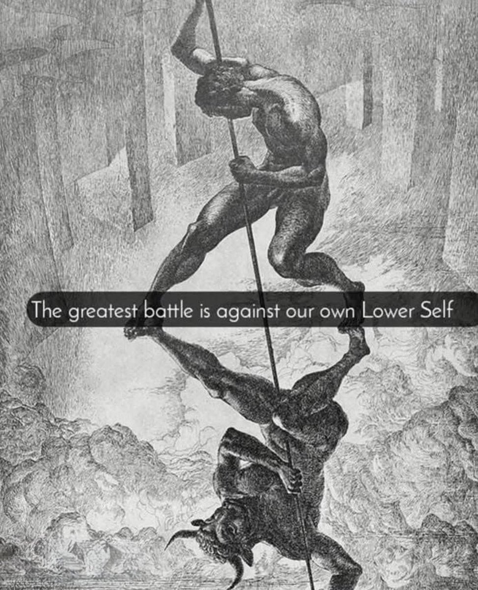 MrFin⚜️ tweet media