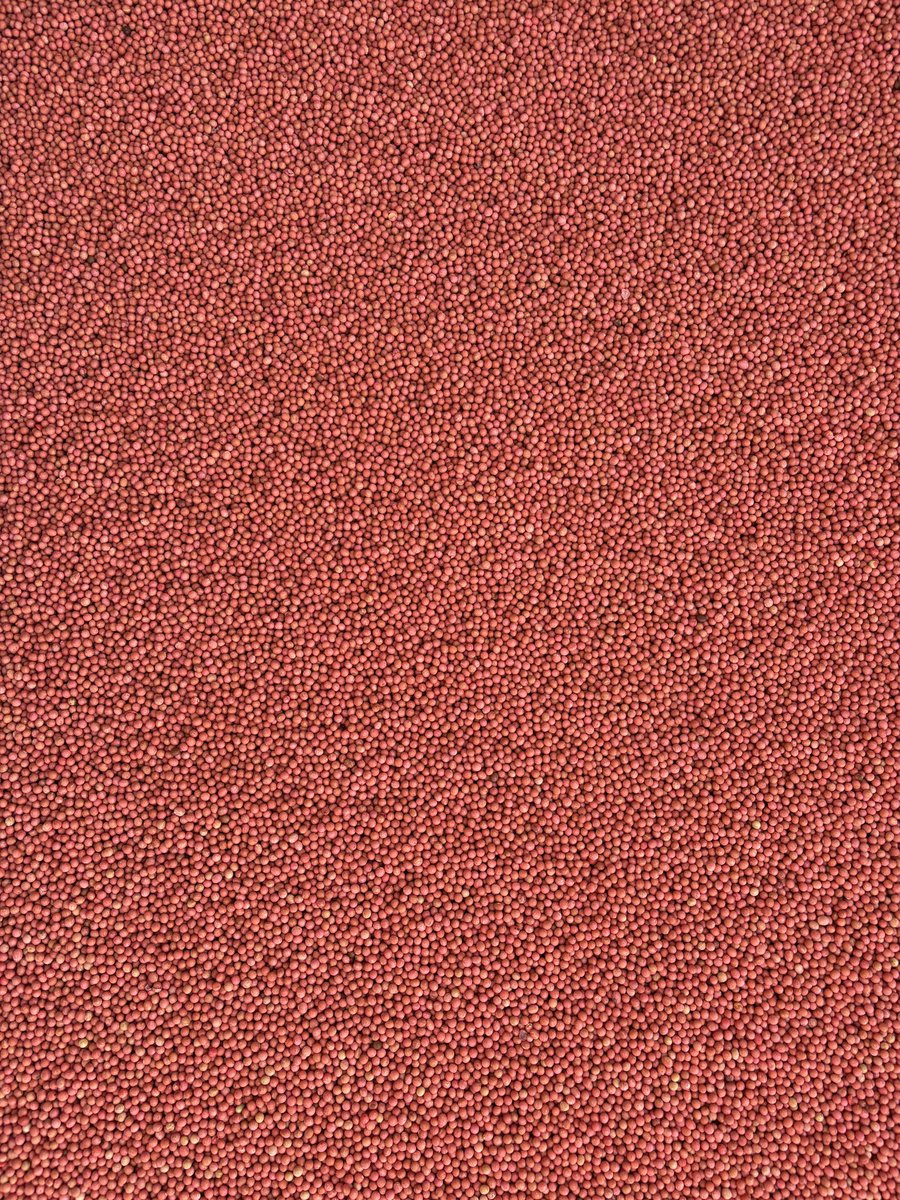 Branden Burns tweet media