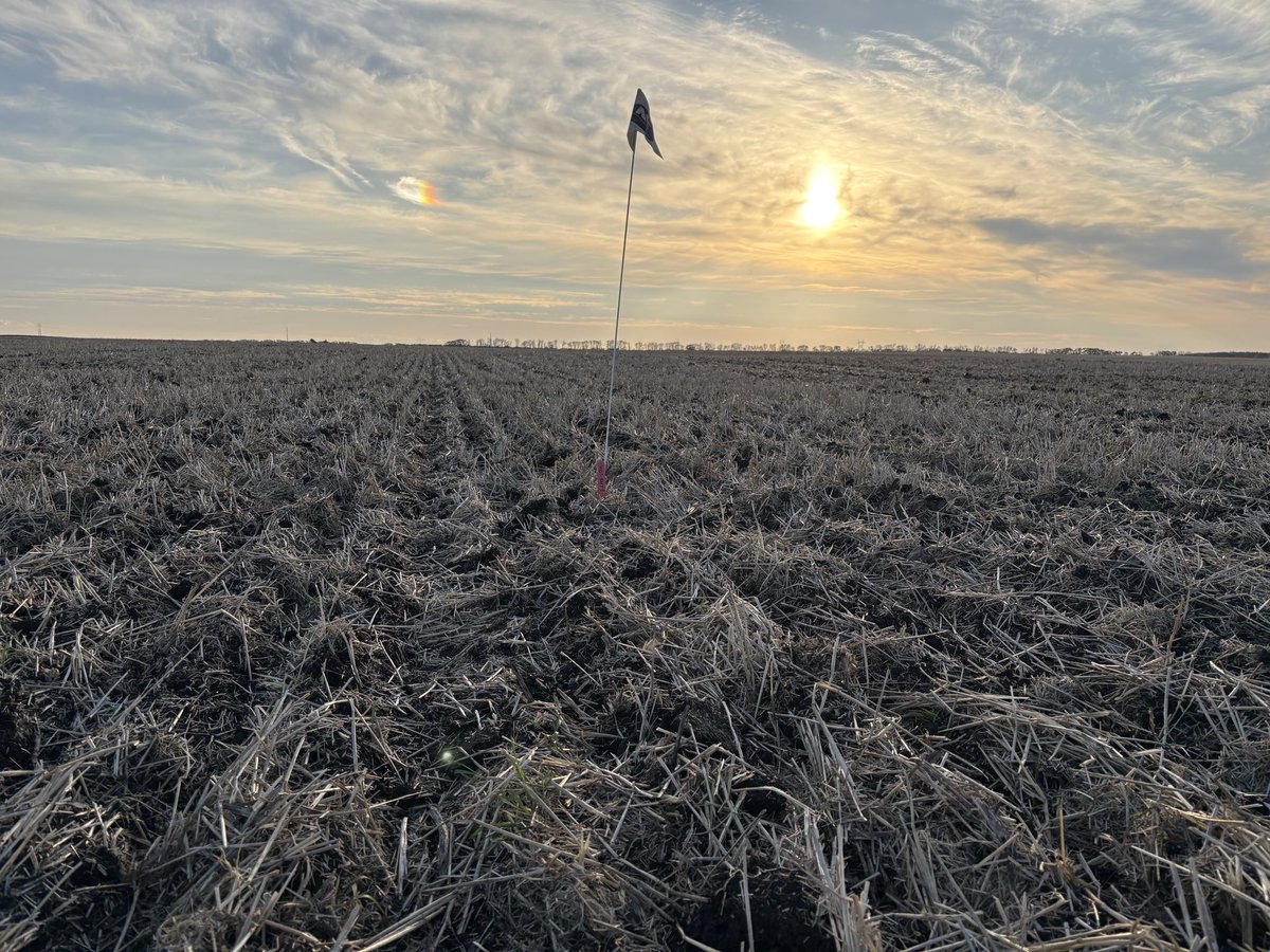 Branden Burns tweet media