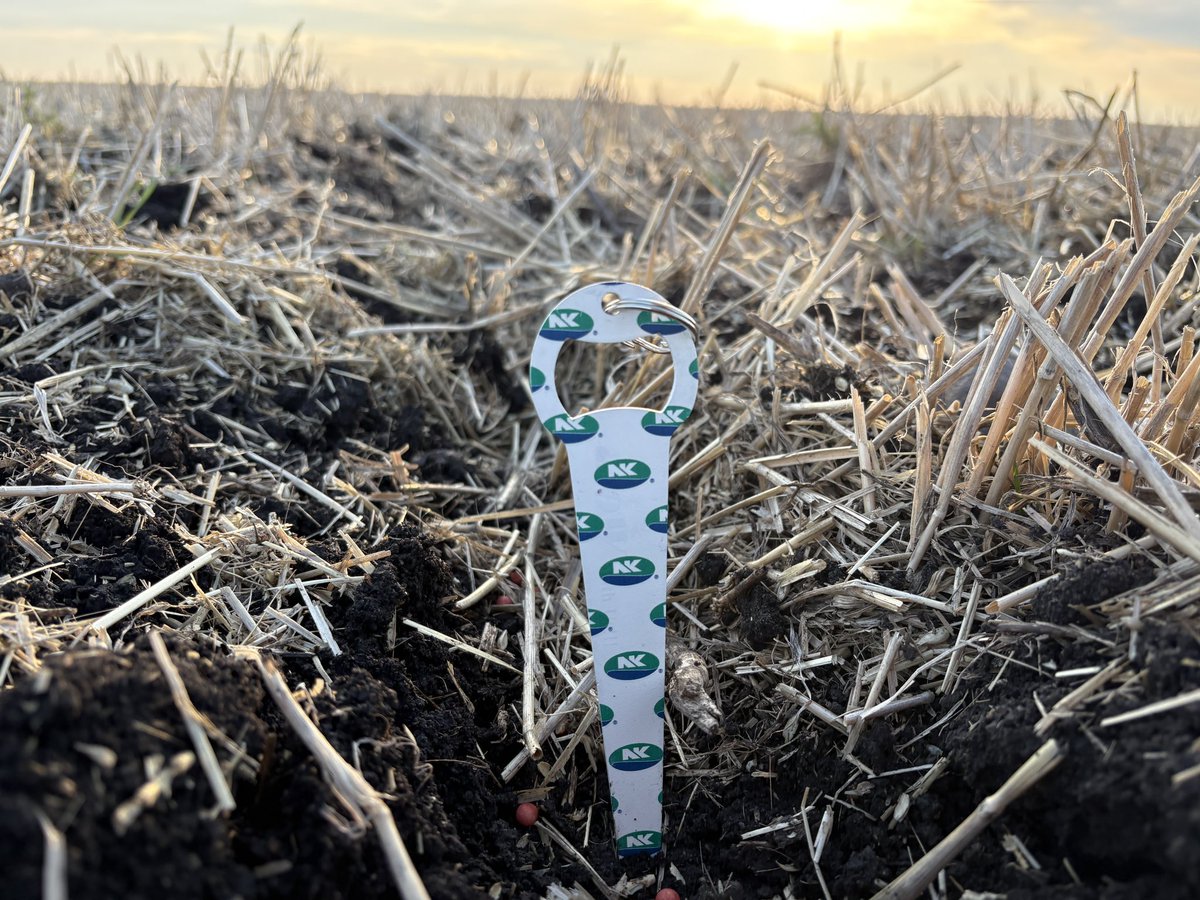 Branden Burns tweet media