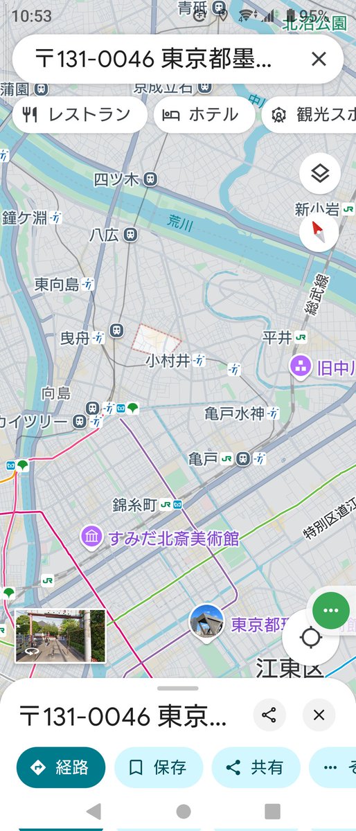 迷子のワンちゃんが東京都 墨田区 京島3丁目で保護です。