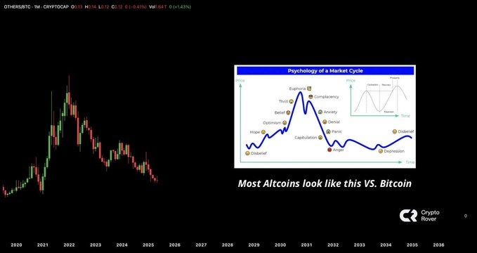 Altcoins are STILL crazy undervalued right now… 👀💎

The real mooners are just warming up 🚀🚀 Don’t sleep on the gems yet!