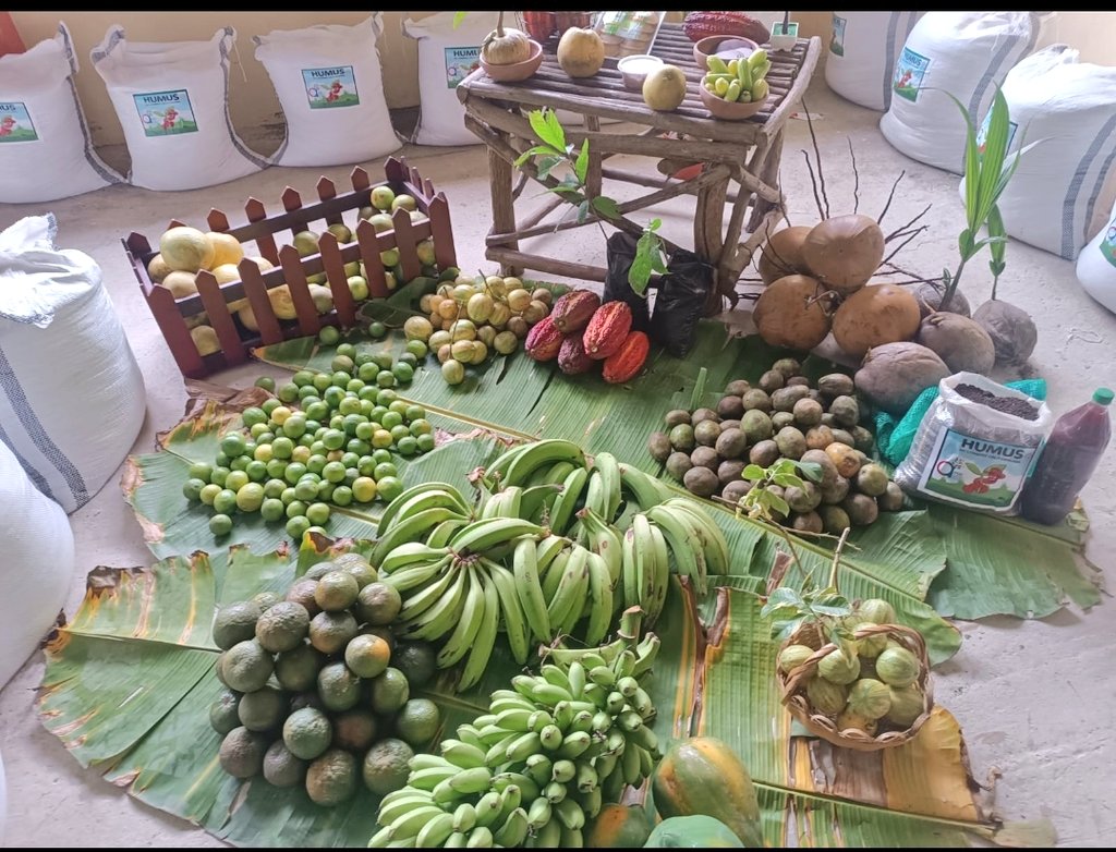 #Manabí | Hoy realizamos la ceremonia de graduación 🎓 de pequeños productores agropecuarios de la comunidad La Cuesta del cantón #SantaAna, ellos participaron en los 14 módulos teóricos - prácticos de capacitación en las Comunidades de Aprendizaje de la AFC.
#ElNuevoEcuador🇪🇨🇪🇨