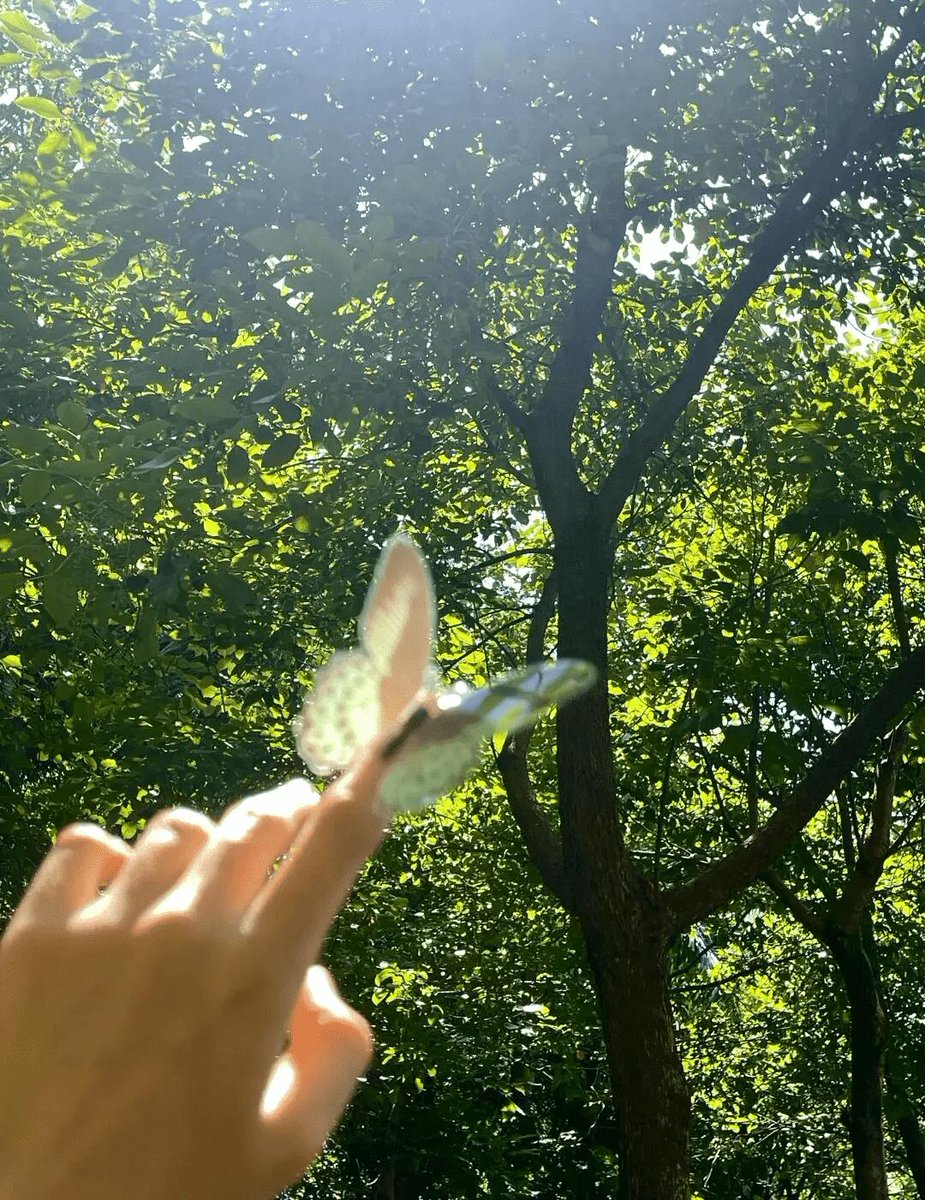 一回一回の努力と継続です
幸運の伏線です!
心のある人は自分を変えます
執着する人は運命を変えます…