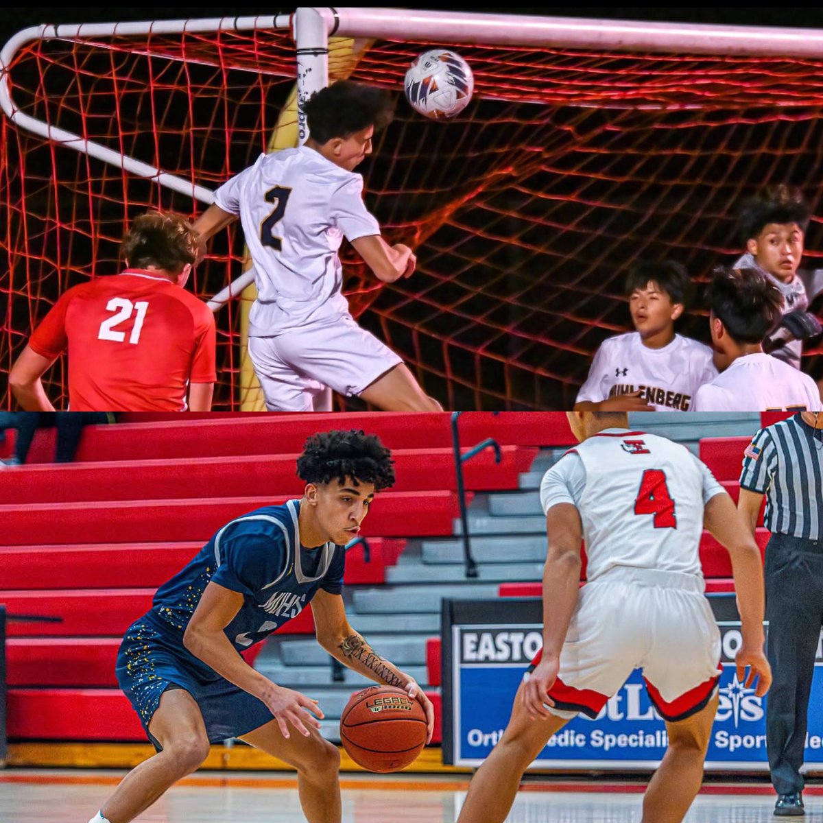 Jessie Franko tweet media